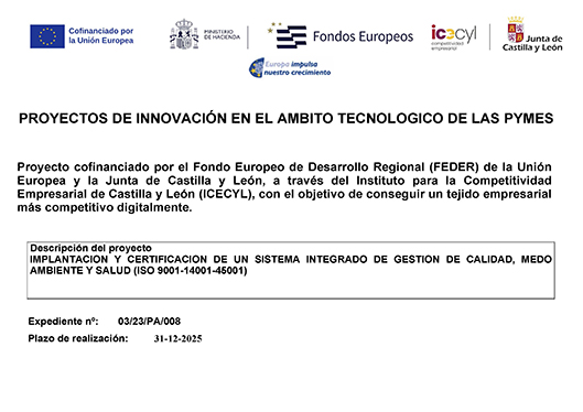PROYECTOS DE INNOVACIÓN EN EL AMBITO TECNOLOGICO DE LAS PYMES